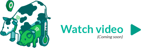 Watch video Watch video