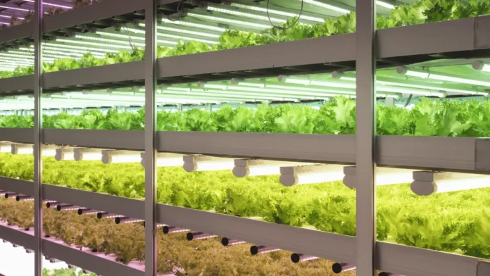 Cómo un grupo empresarial modernizó su infraestructura de red para impulsar la conectividad en sus plantas y marcas en México Cómo un grupo empresarial modernizó su infraestructura de red para impulsar la conectividad en sus plantas y marcas en México